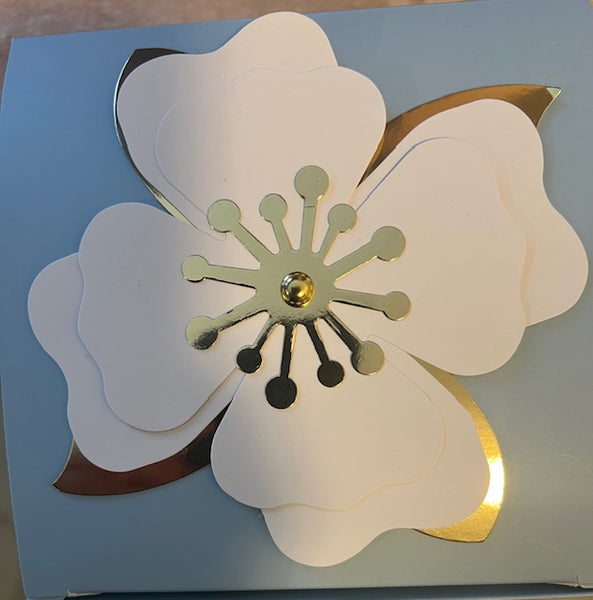 Pack Alissi Brontë Be You Purissimo - Crema + Contorno de Ojos - Natura Estilo